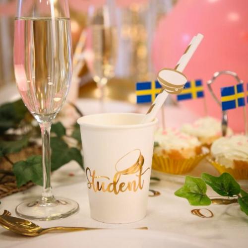 Pappers Sugrör Studenthatt 8st