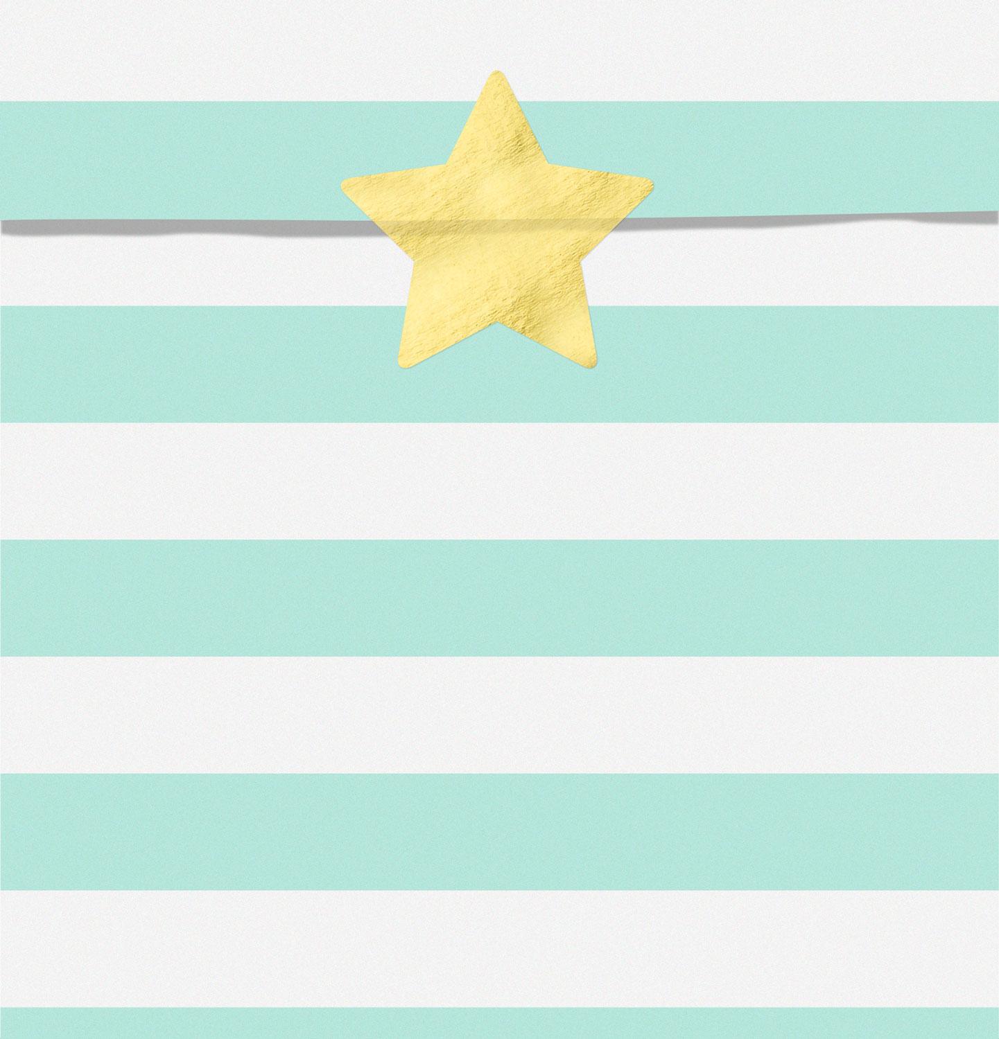 Treat bags Yummy, mint, 13x14cm  (1 pkt / 6 pc.)