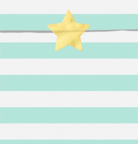 Treat bags Yummy, mint, 13x14cm  (1 pkt / 6 pc.)