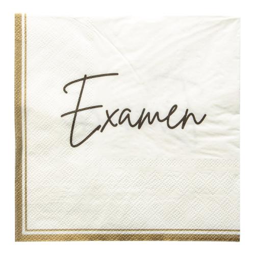 Pappersservett Examen 33x33cm 16st