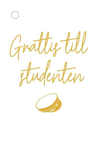 STUDENTKORT MINI GRATTIS TILL STUDENTEN VITT