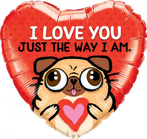 18" I Love You just The Way I Am
