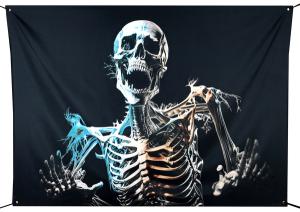 Skelett Backdrop