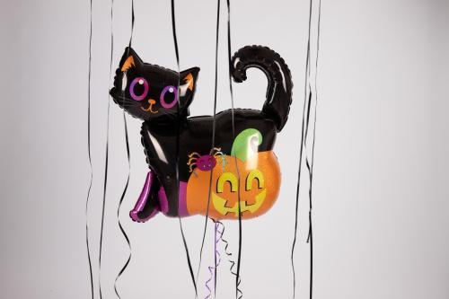 71cm Katt & Pumpa - L