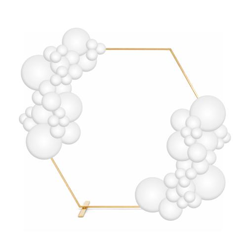 Backdrop Hexagon 301