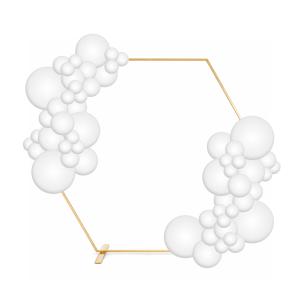 Backdrop Hexagon 301