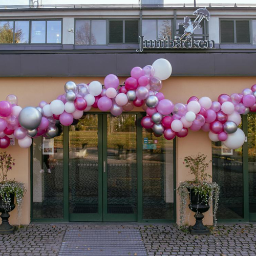 Organisk ballonggirlang 8 meter