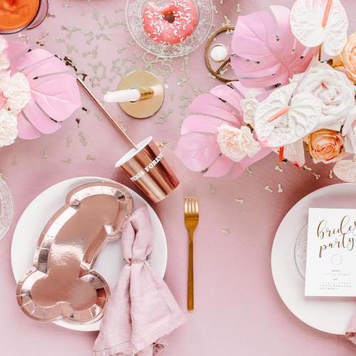 Papperstallrikar - Same penis forever