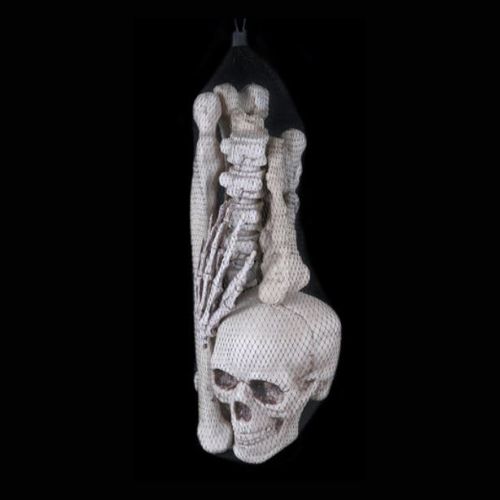 Skelettben i påse 12