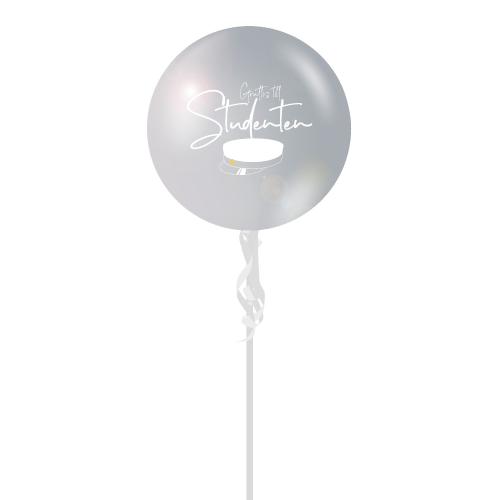 Utspringsballong Student (55 cm) Silver
