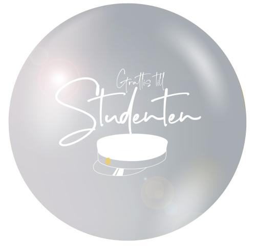 Utspringsballong Student (55 cm) Silver