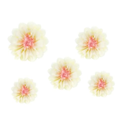 Pappersblommor Kräm/Rosa