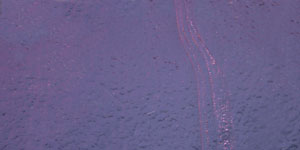 Dichroiskt fusingglas 5x10 cm på svart glas.