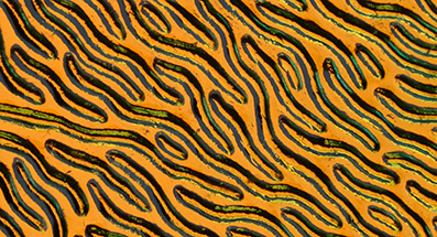 Dichroiskt fusingglas 5x10 cm. Stream med cyan koppar på svart 2 mm glas.