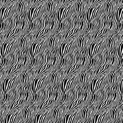 Gulddekal Zebra, 10x10 cm