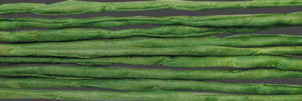 Sidenband, vävt, tvättat och handfärgat 3 mm, 1meter.