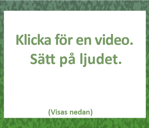 Video Glaspärlor och Softflex