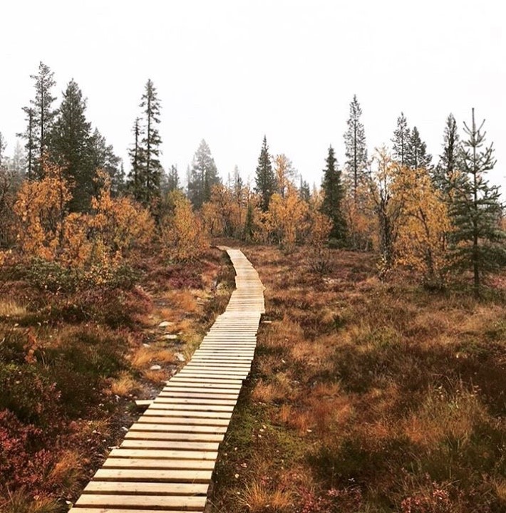 Gör långpromenaden till ett nöje!