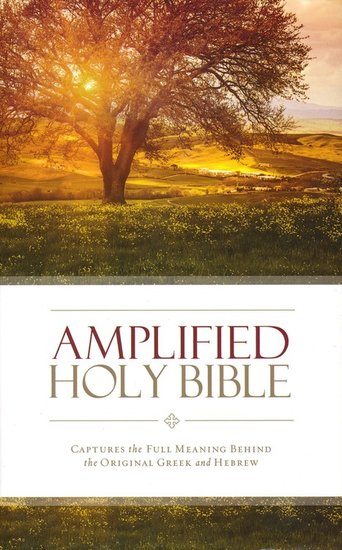 AMPLIFIED BIBLE, HARDBACK, 225x145x35