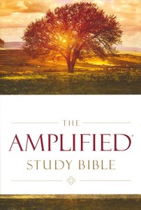 AMPLIFIED STUDY BIBLE, HARDBACK, 240x165x50mm