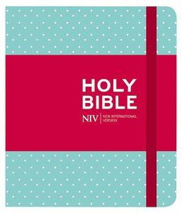 NIV Journaling