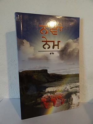 Nya Testamentet, punjabi, 210x135x10mm