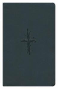 KJV, Leatherlike gray, 230x145x23mm