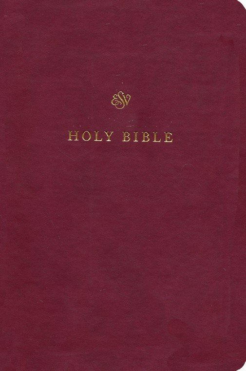 ESV  Bible Burgund, 225x155x25mm