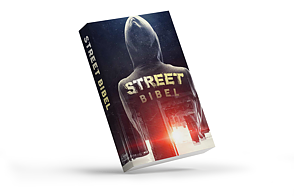 Streetbible, Sv Folkbibeln 2015 NT