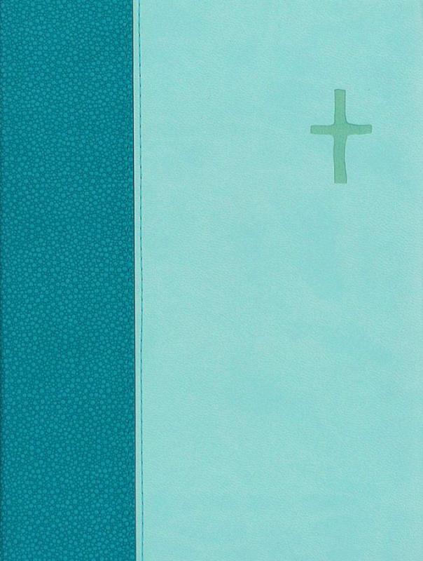 Finsk bibel, Raamattu, 1992
