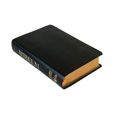 Svenska Folkbibeln 2015, mellan, svart, cabra