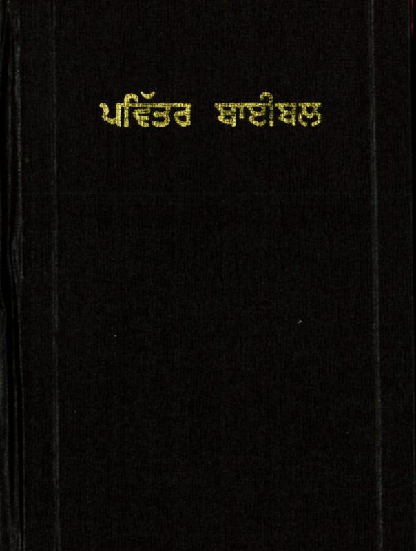 Bibel, Punjabi svart, 215X145x40MM