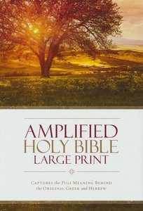 AMPLIFIED BIBLE, HARDBACK, LARGE PRINT, 240x170x42mm