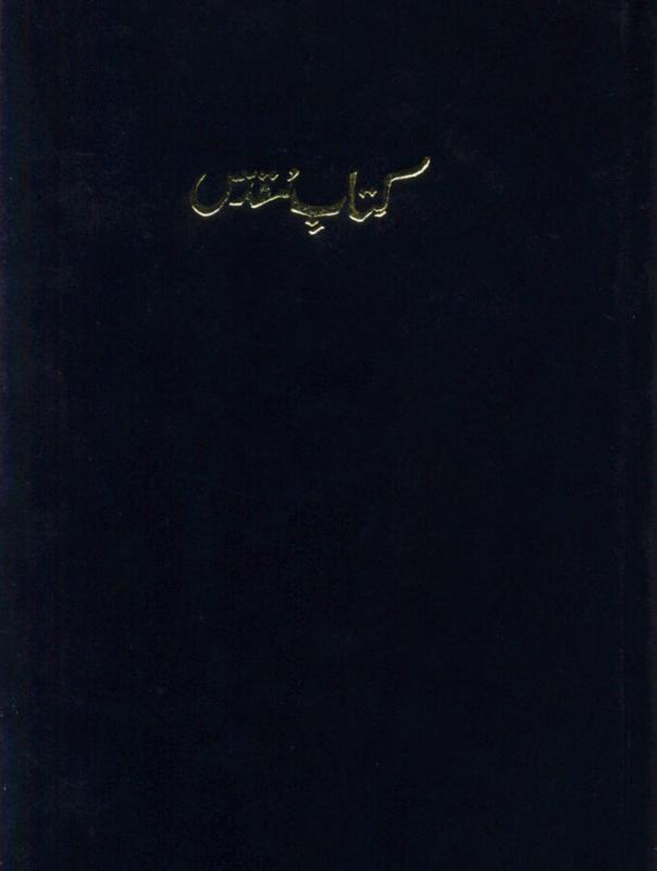 Bibel Urdu 210x143x30 mm