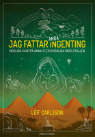 Jag fattar ändå ingenting