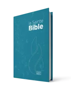 La Sainte Bible, blågrön, inb. 185x120x30