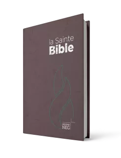La Sainte Bible, brun, inbunden, 185x120x30