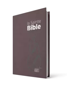 La Sainte Bible, brun, inbunden, 185x120x30