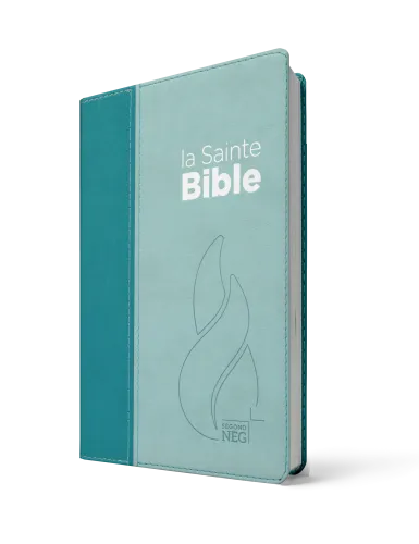 La Sainte Bible, Segond NEG, 190x123x26mm