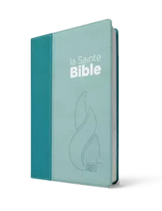 La Sainte Bible, Segond NEG, 190x123x26mm