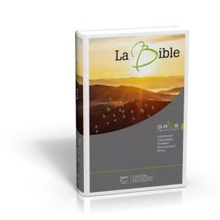 La Bible,  couverture rigid, 217x140x45mm