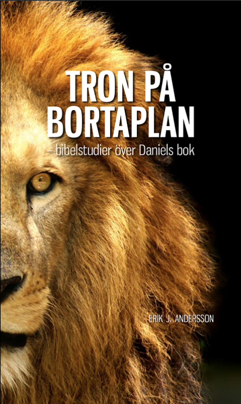 Tron på bortaplan, Bibelstudier över Daniels bok