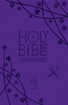 ESV, PURPLE, SOFT COVER WITH ZIP, 175x115x25 mm