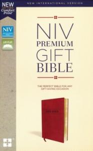 NIV, BURGUNDY, SOFTCOVER, 228x150x32