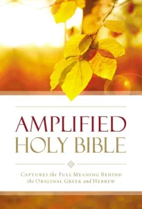 AMPLIFIED BIBLE, SOFT COVER 215x140x25mm