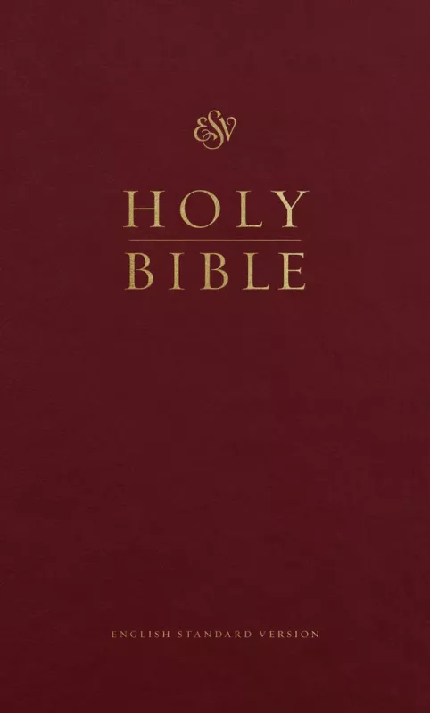 ESV Bible 220x140x30mm, Hårdpärm