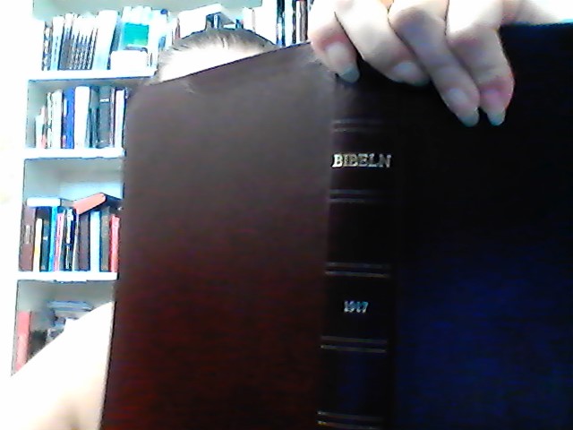 Bibel 1917 mörkröd, skinn, guldsnitt, 240x150X25mm