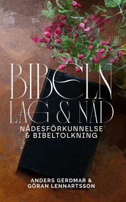 Bibeln, lag och nåd