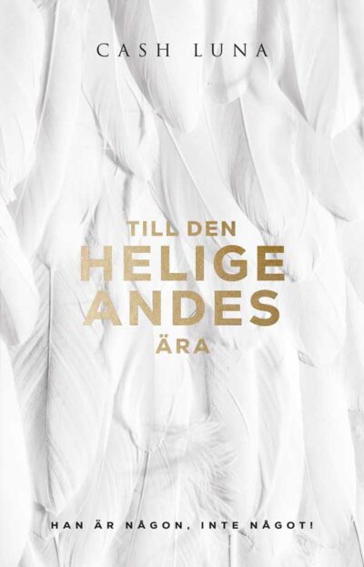 Till den Helige Andes ära, Han är någon, inte något