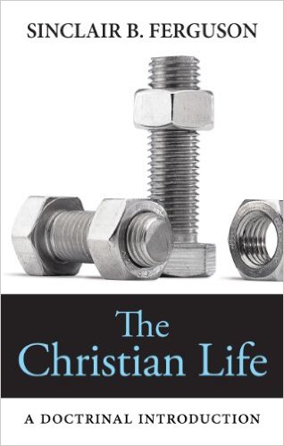 The christian life - A doctrinal introduction